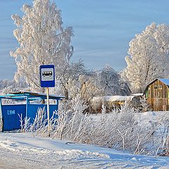 фото "Остановка автобуса."