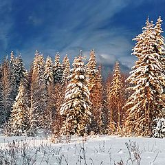 фото "зимний день"