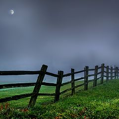 photo "***"
