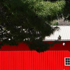 photo "Broad Side Of A Barn"