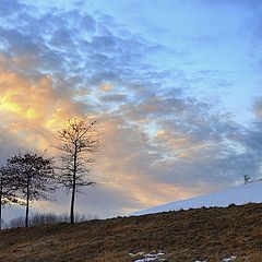 photo "Watcher of the sunset..."