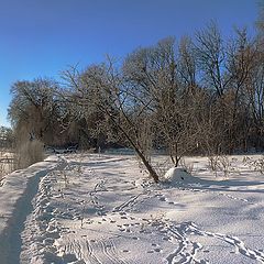 photo "Path in winter ..."