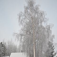 фото "Банька"