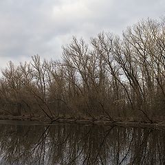 фото "Вот такой вот февраль ...3"