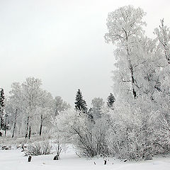 фото "Подмосковная зима"