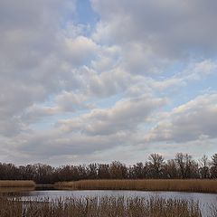 фото "Вот такой вот февраль....4"