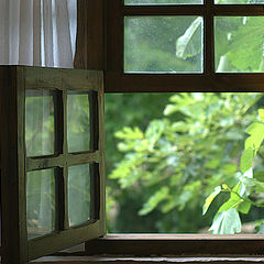 фото "Windows-1898"