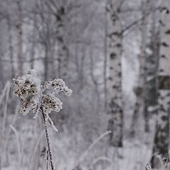 фото "Замело"