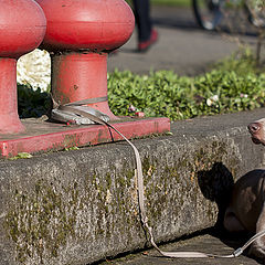 фото "At the port"