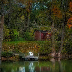 photo "***"