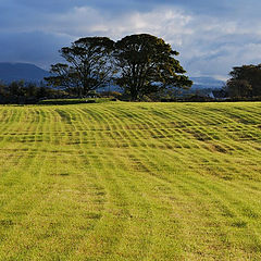 фото "Carrowmore-2"