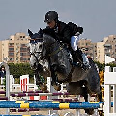 photo "show jumping 01"