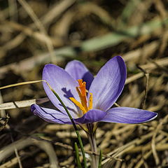 фото "С праздником"