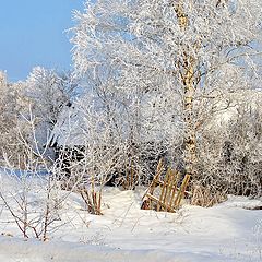 фото "Ушла зима с избушки..."