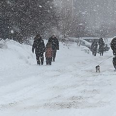 фото "Весення капель уж близко..."