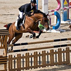 фото "show jumping 02"