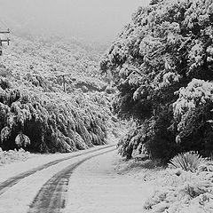 photo "Wintry Road"