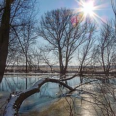 photo "March. The beginning of spring ..."