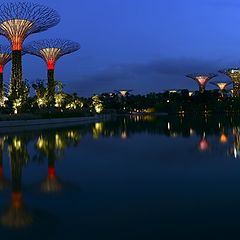 photo "Gardens at the Bay"