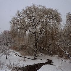 фото "Про первый снегопад и ручеёк, похожий на осьминожку..."