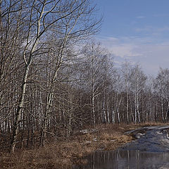 фото "Март"