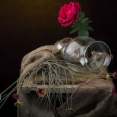 photo "With a rose and a vase of glass"