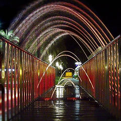 фото "The arches of the water"