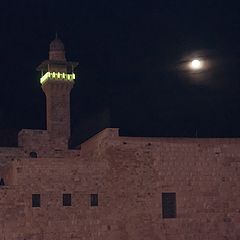 фото "Арабская ночь"