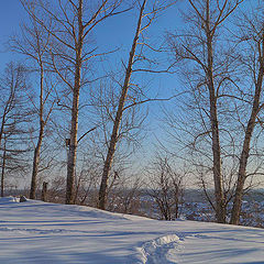 photo "***"