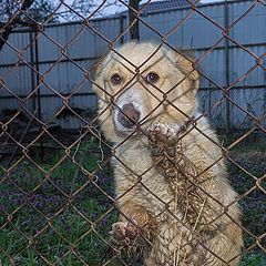 фото "И мне кусочек, ну пожалуйста."