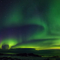 фото "Northern Lights."