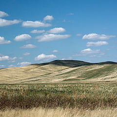 фото "Песня эльфам."