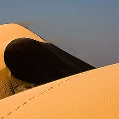 фото "Dunes 09"