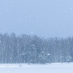 фото "Снегопад"