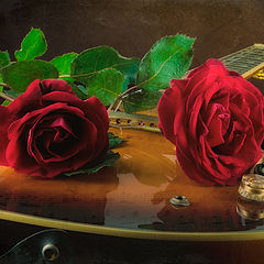 photo "Music of roses"