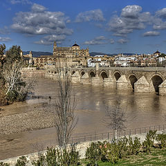 photo "THe bridge"