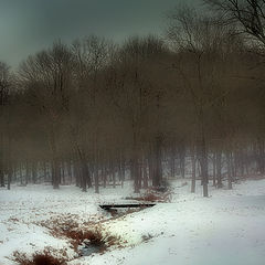 photo "***"