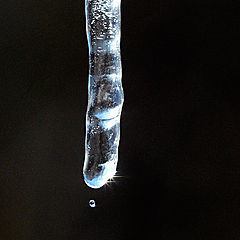 photo "***"