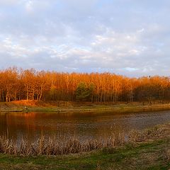 photo "Forest Lake ..."