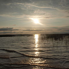 photo "озеро Выртсъярв,закат,лето"