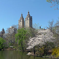 photo "Spring in New York"