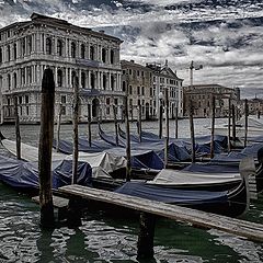 фото "Venice"