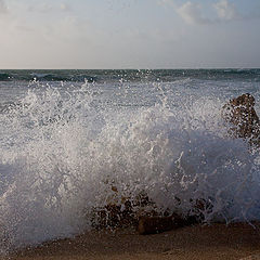 photo "wave"