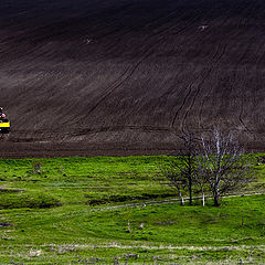 photo "spring plowing"