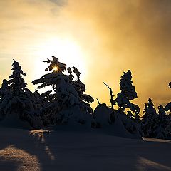 фото "Auf den Brocken."