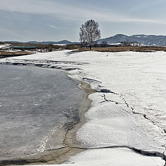 фото "Апрель"