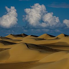 photo "Dunes 11"