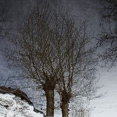 фото "Дружеские объятия"