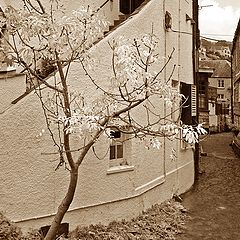 photo "Polperro."