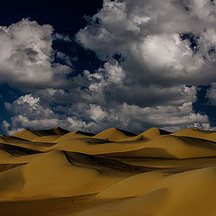 фото "Dunes 12"